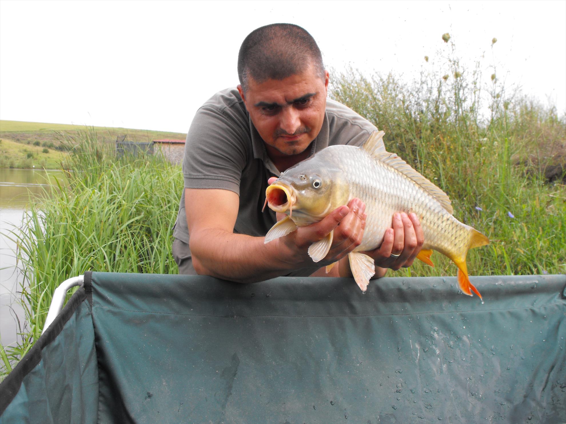 Magura 9 1 - 2 august 2014 - dscf1009.JPG